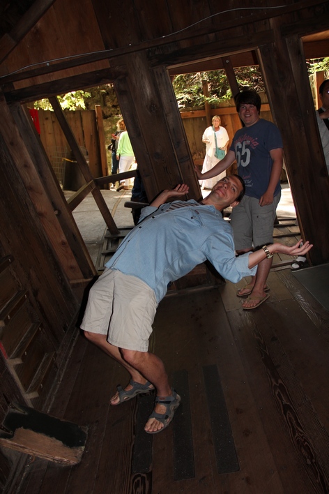 ������� ����